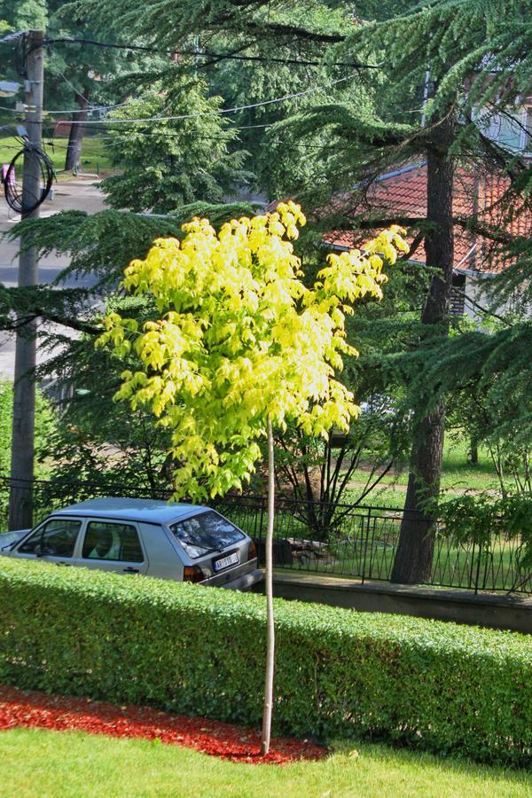 Apartmani15 Arandjelovac Luaran gambar